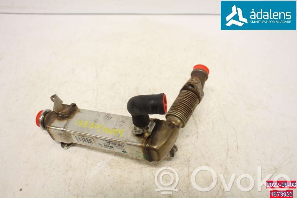 Valvola di raffreddamento EGR   11717790065