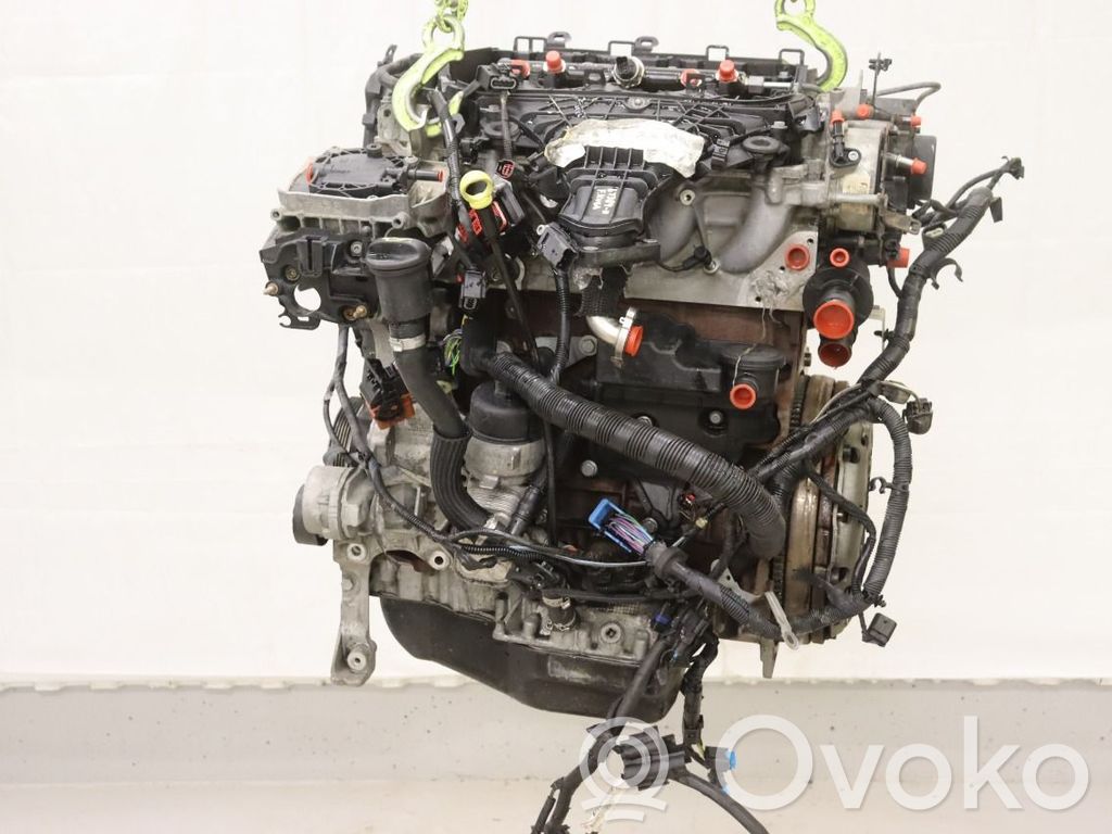 Variklis   1854467,AV4Q6006AD