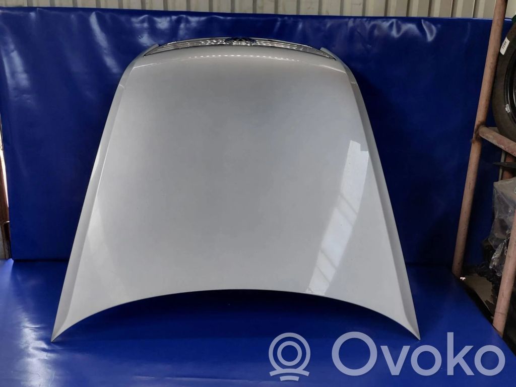 Engine bonnet/hood