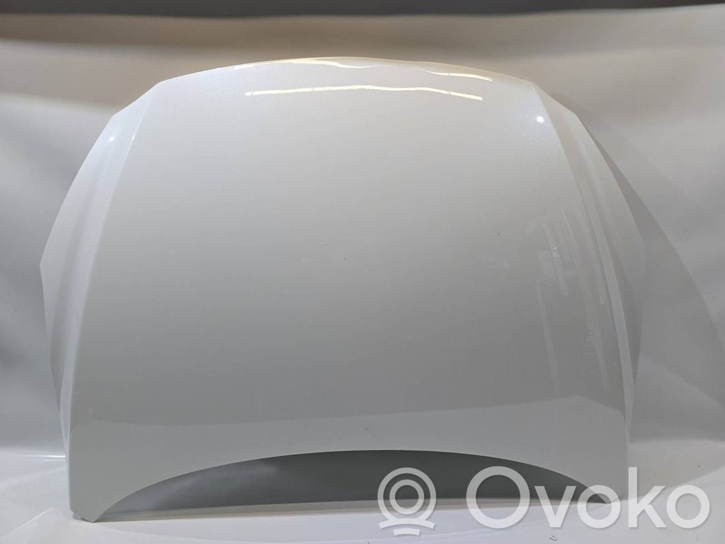 Engine bonnet/hood