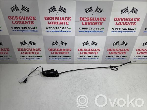 Tie down hook / loop   9651004580