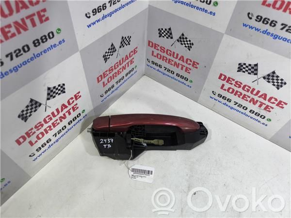 Manecilla externa puerta trasera   242566