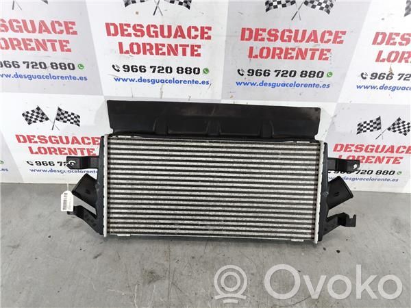 Intercooler radiator   879333V