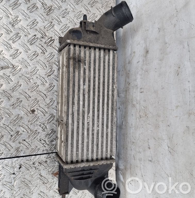 Peugeot 407 Interkūlerio radiatorius 