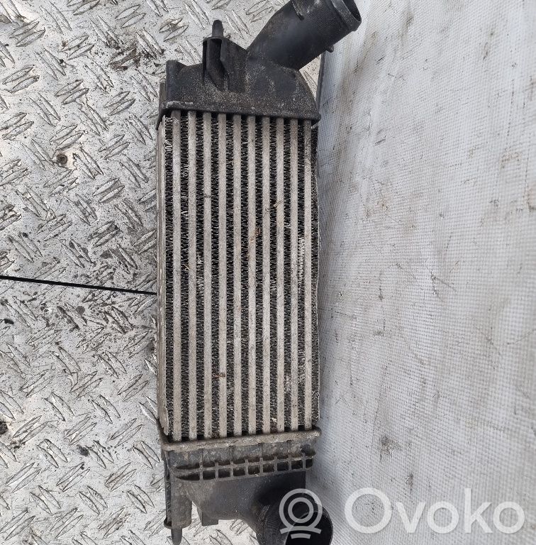 Citroen C5 Intercooler radiator 