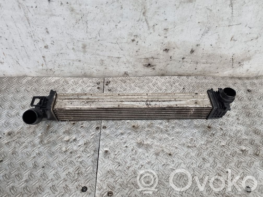 Renault Megane III Intercooler radiator 
