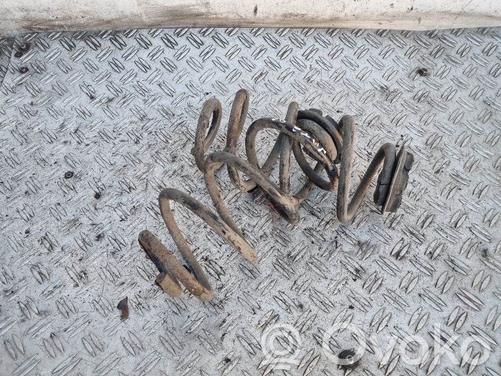 Rear coil spring