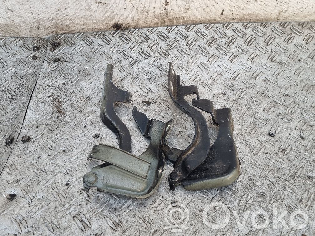 Opel Antara Engine bonnet/hood hinges 