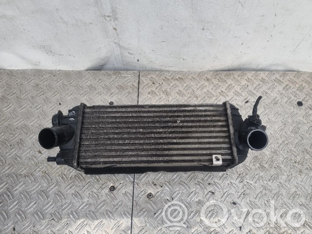 Hyundai ix35 Intercooler radiator 