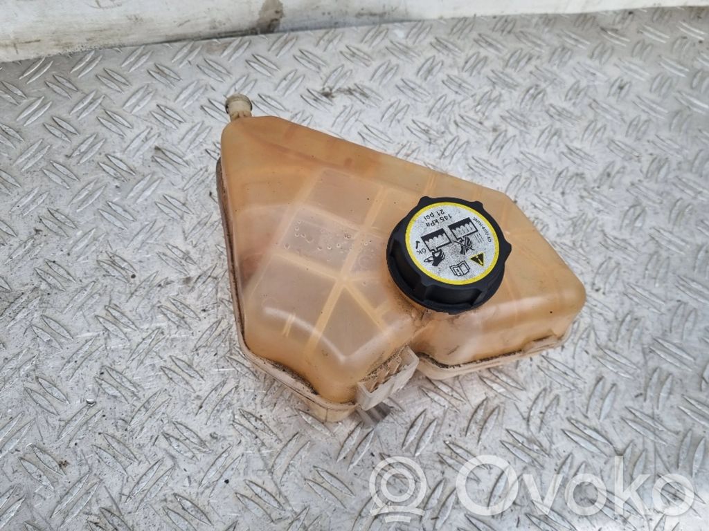 Ford Fiesta Aušinimo skysčio išsiplėtimo bakelis 
