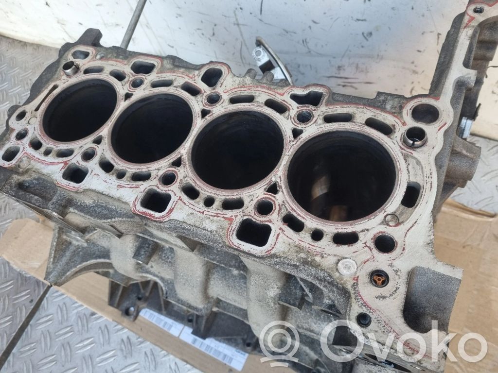Engine block   55569916,55569916GC,X0LMTV