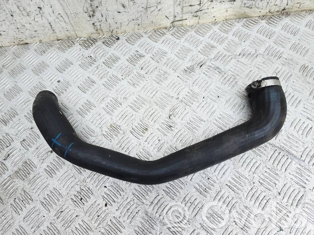 Ford Focus Intercooler hose/pipe 