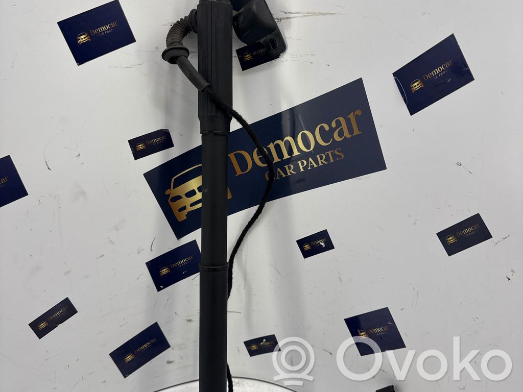 BMW X5 E70 Ammortizzatore portellone posteriore/bagagliaio 