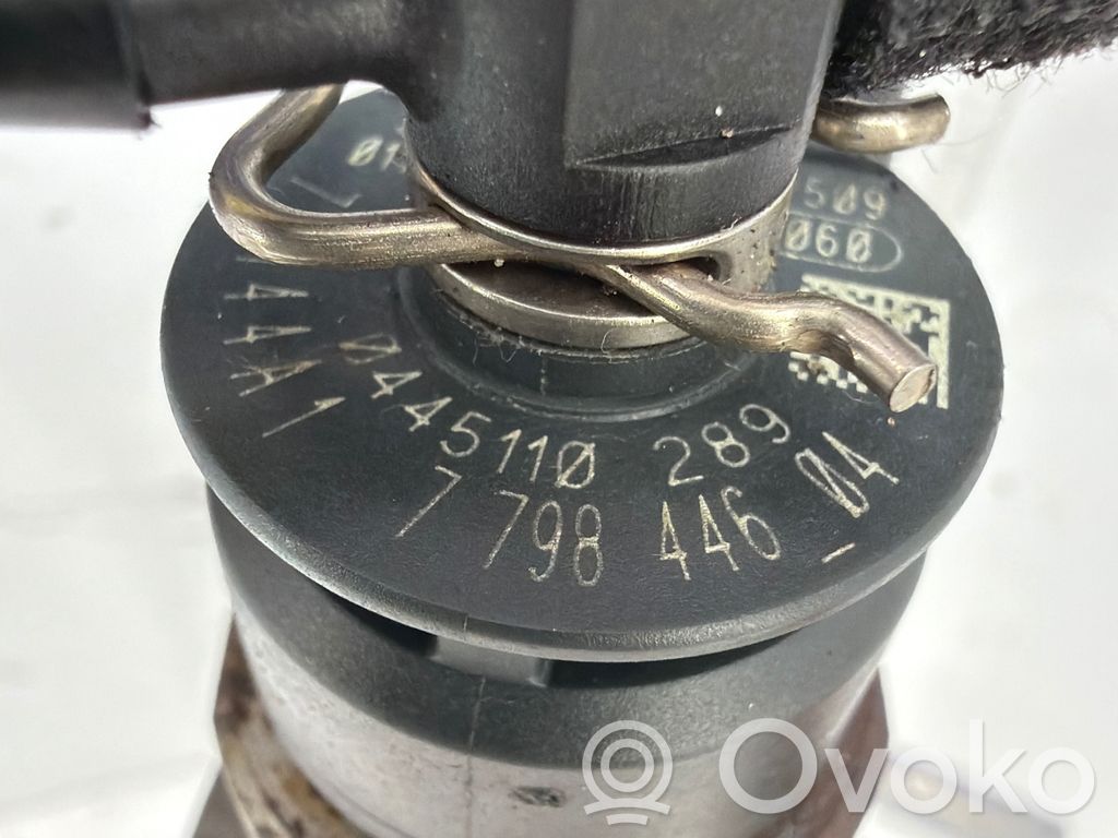 Injektor Einspritzdüse   7798446,04451102880
