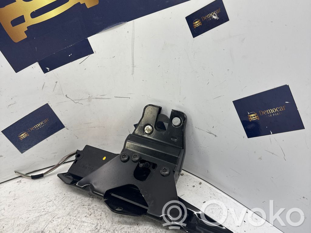 Loading door lock loop/hook striker   489050955