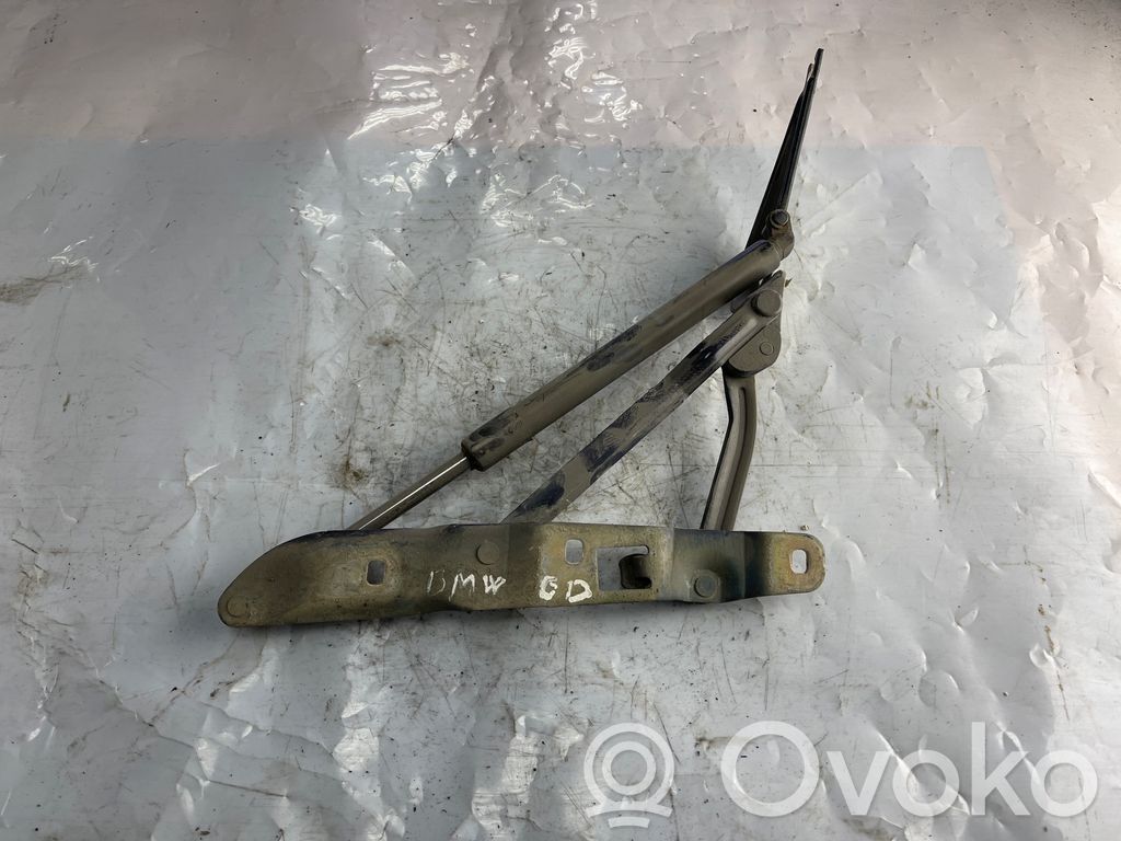 BMW 5 E39 Tailgate/trunk/boot hinge 