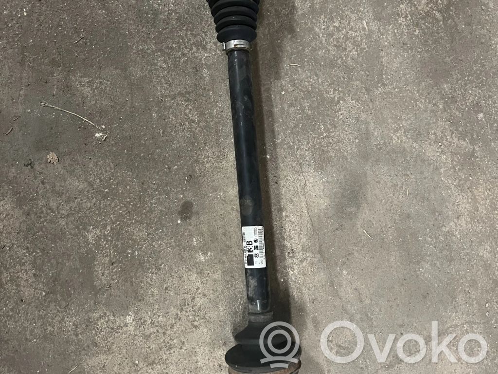 Audi A6 S6 C6 4F Galinis pusašis 