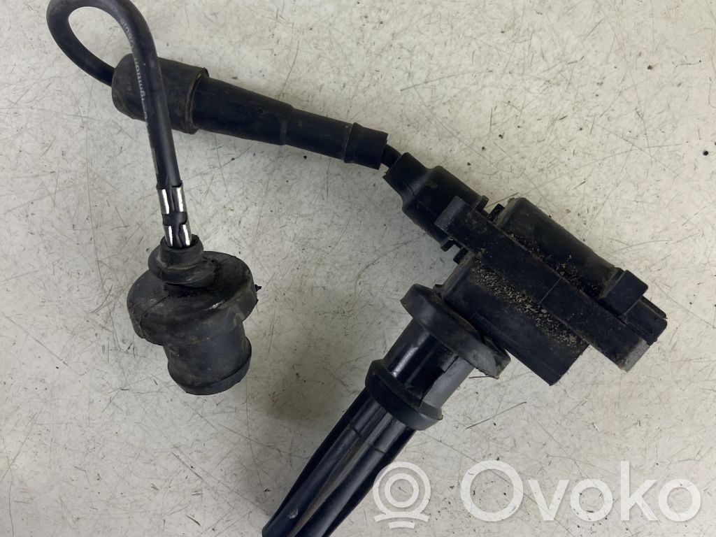 Hyundai Santa Fe High voltage ignition coil 