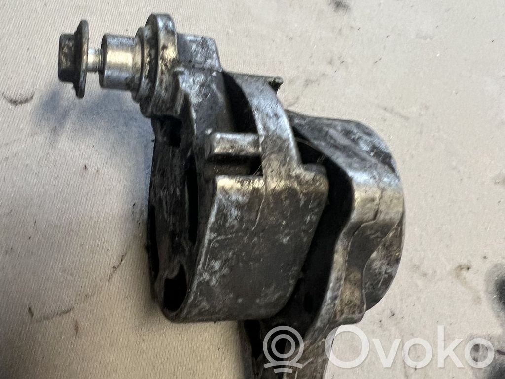 Renault Vel Satis Diržo įtempėjas 