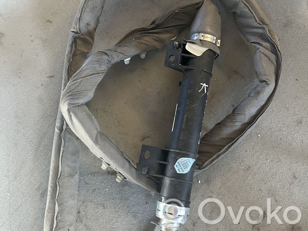 Renault Laguna II Airbag del techo 