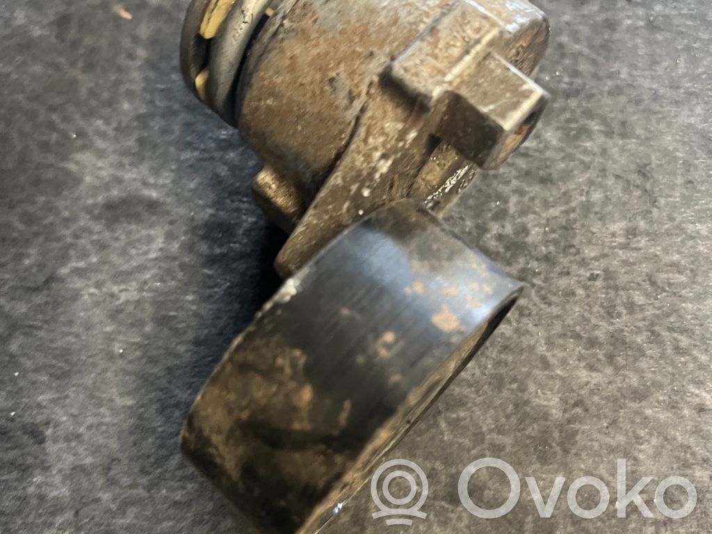 Renault Clio III Generator/alternator belt tensioner 
