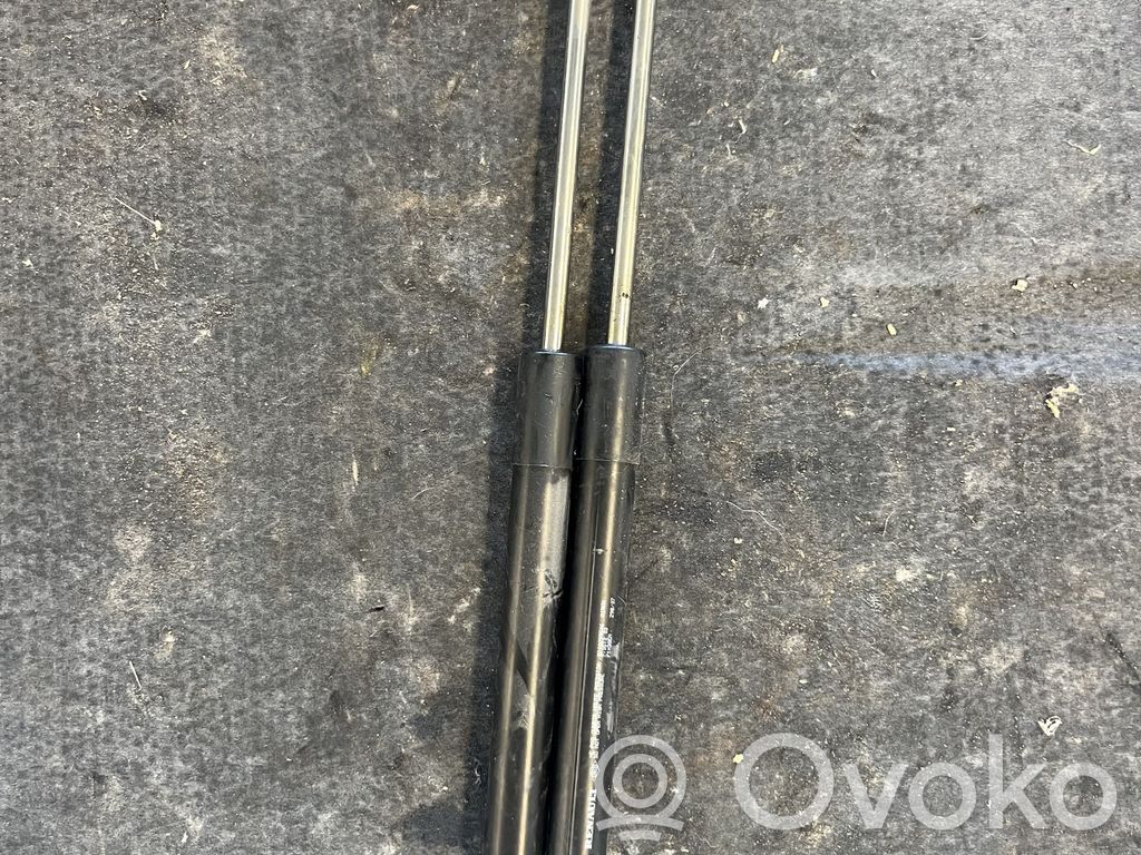 Renault Clio III Tailgate/trunk strut/damper 