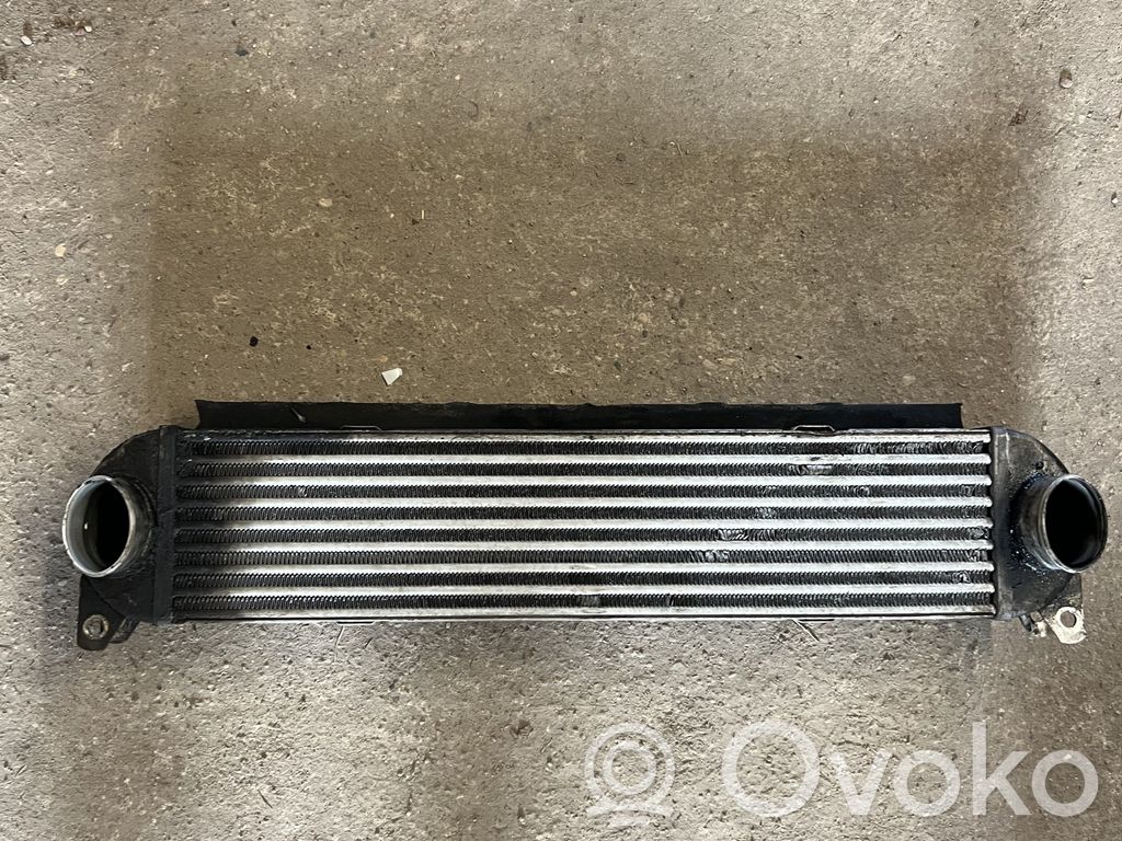 Land Rover Discovery 3 - LR3 Interkūlerio radiatorius 