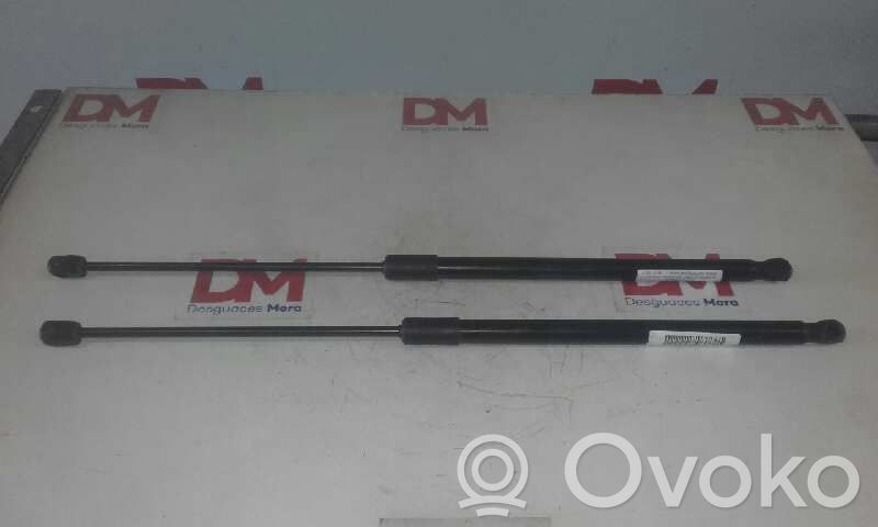 Tailgate/trunk/boot lid buffer
