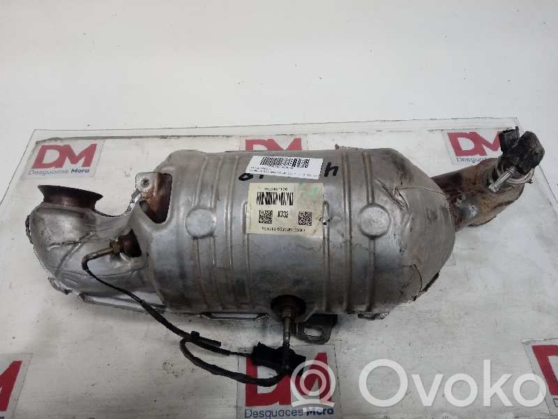 Citroen Berlingo Filtro antiparticolato catalizzatore/FAP/DPF