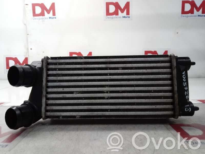 Radiatore intercooler   9800291280,MOSTRADOR,JORGE