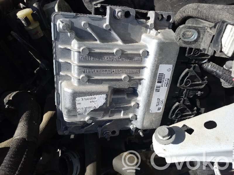 Engine control unit/module   237107343R