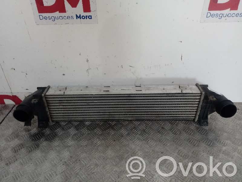 Land Rover Discovery Sport Radiatore intercooler 