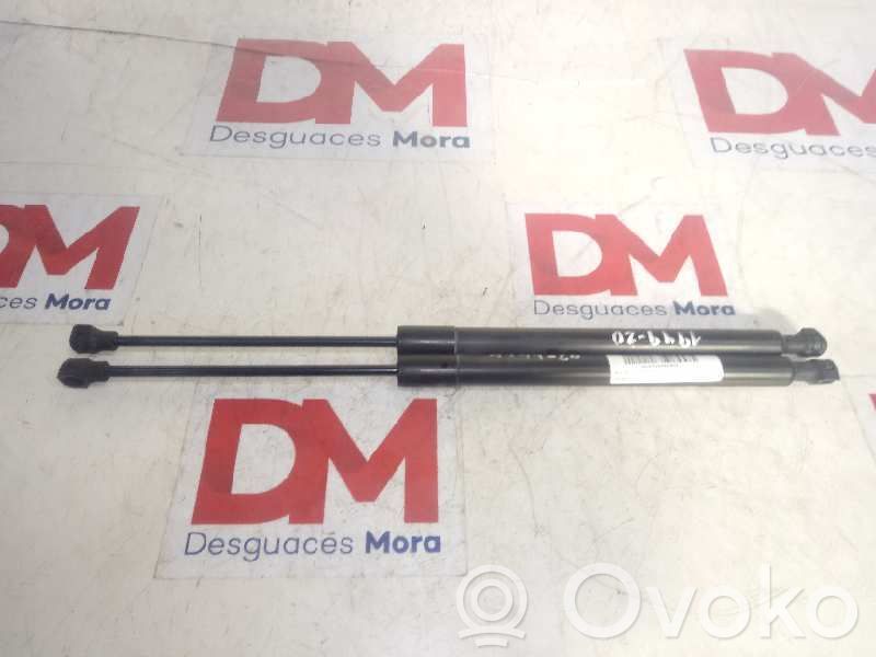 Amortiguador del maletero/compartimento de carga