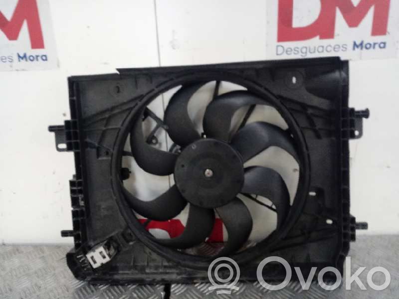 Elektrolüfter   214818009R