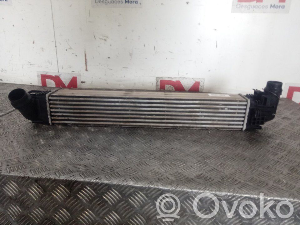 Intercooler radiator   8200880552