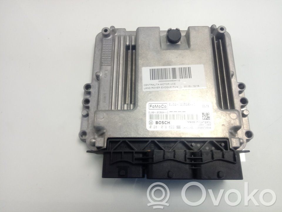 Engine control unit/module   0281019622