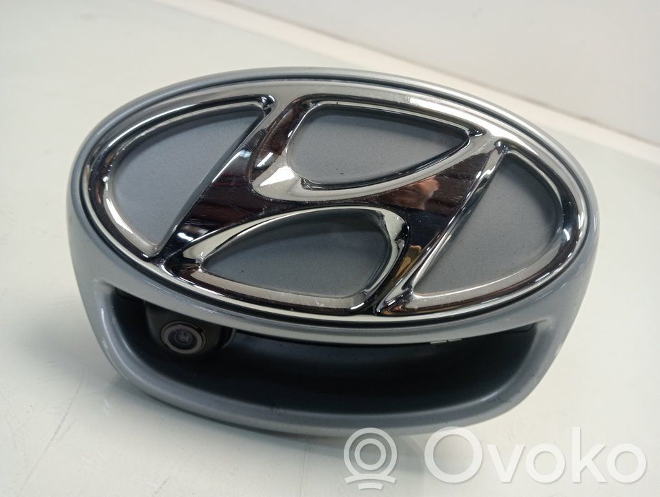 Hyundai Ioniq Manecilla externa puerta trasera