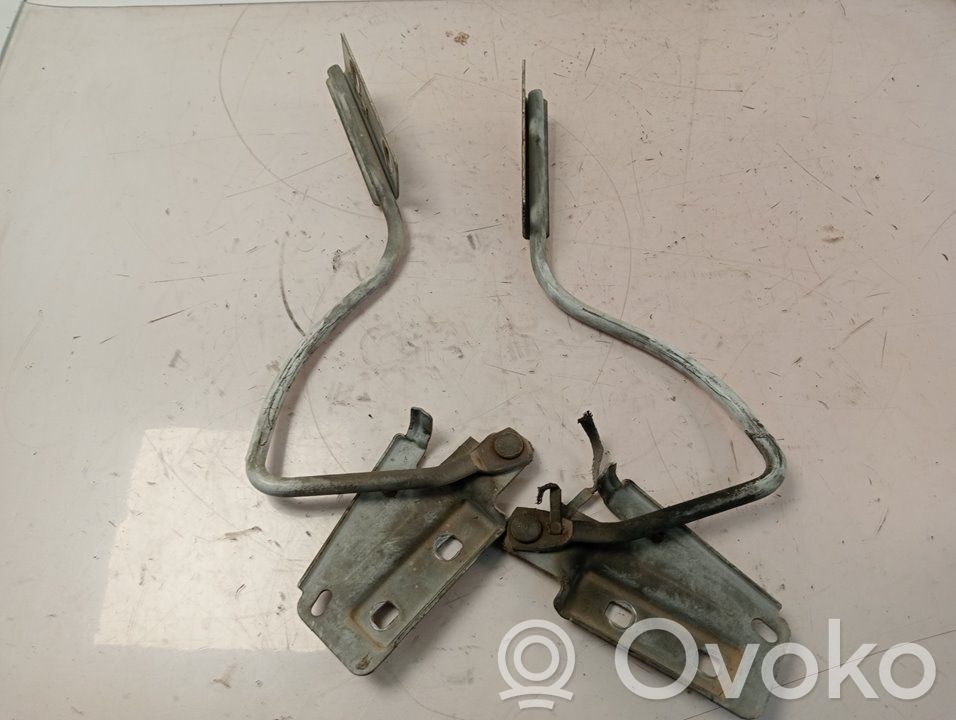 Engine bonnet/hood hinges