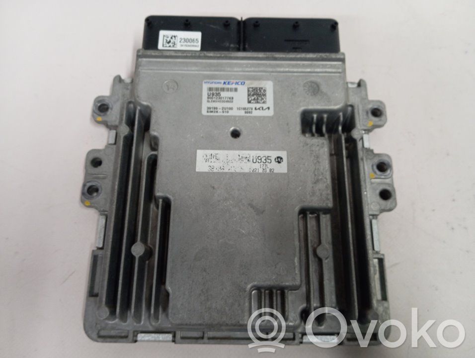 KIA Sportage Engine control unit/module 