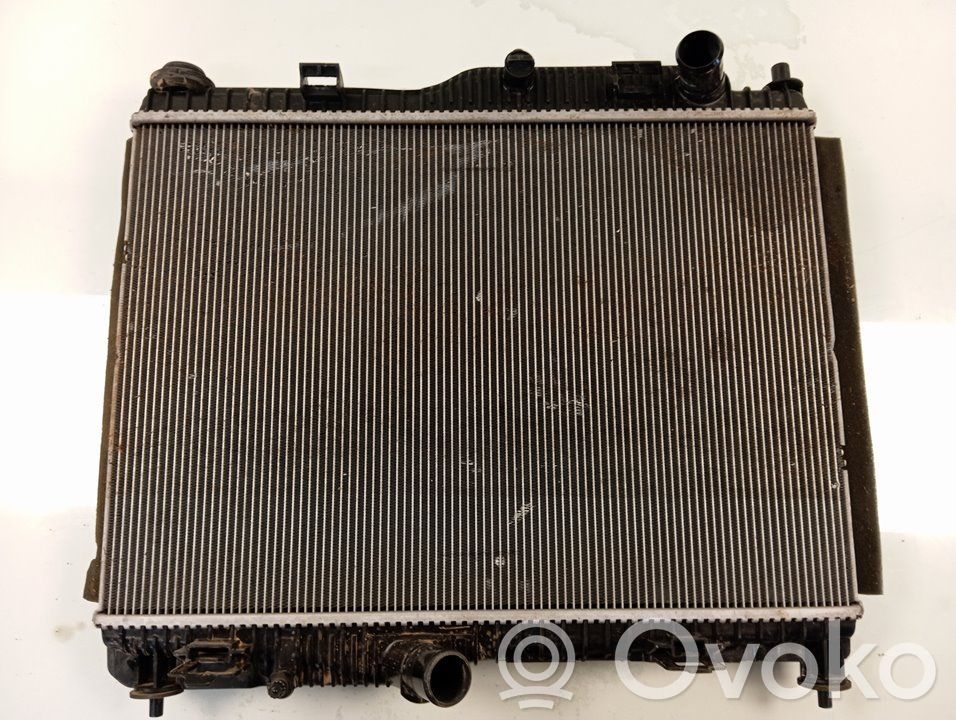 Ford Ecosport Radiatore di raffreddamento 