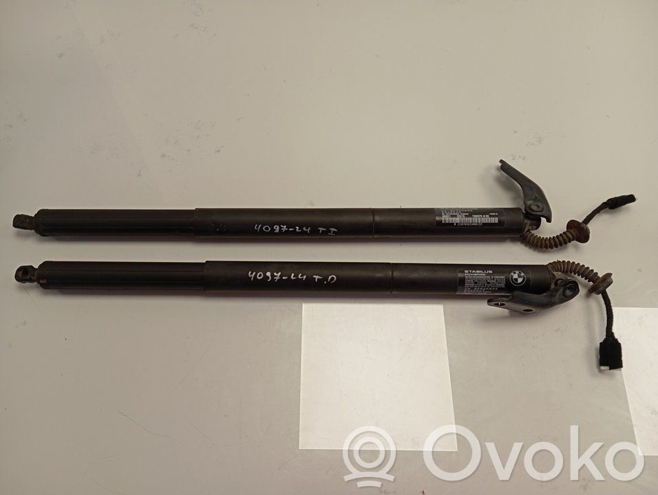 Tailgate/trunk/boot lid buffer   880021