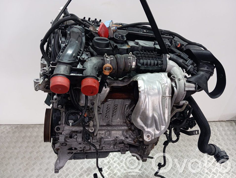 Motor   BH02