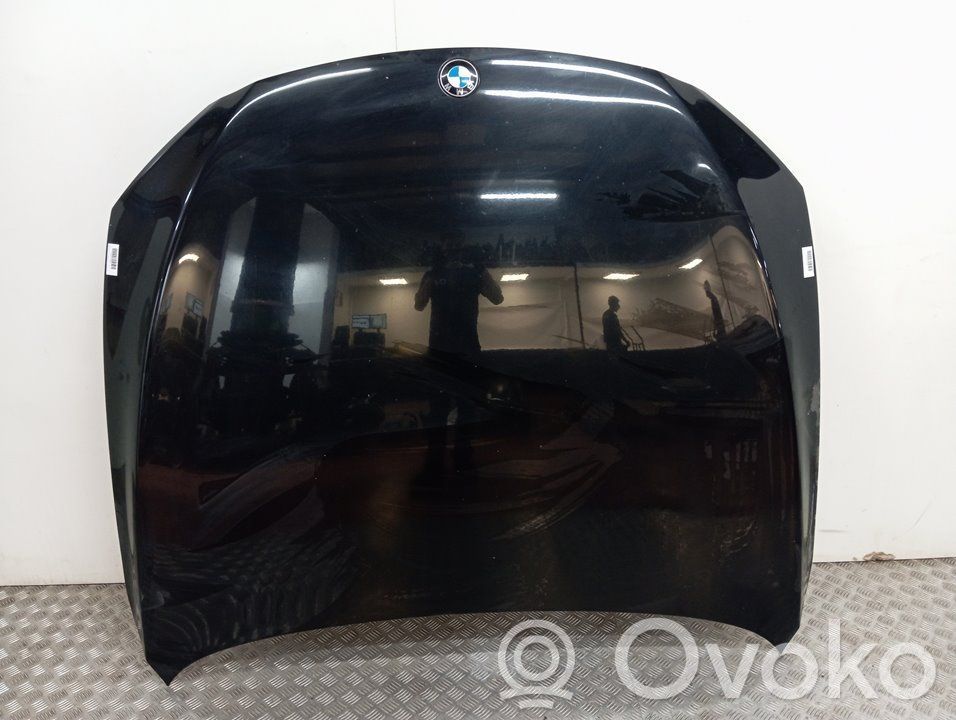 Capó/tapa del motor   41617204514