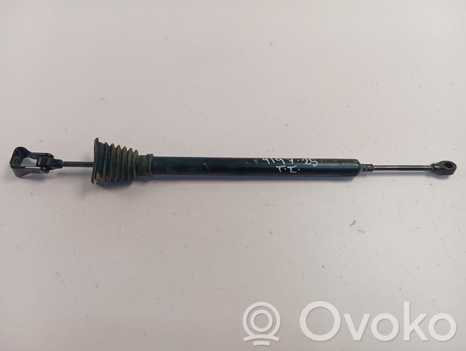 Porsche Panamera (970) Stoßdämpfer hinten 