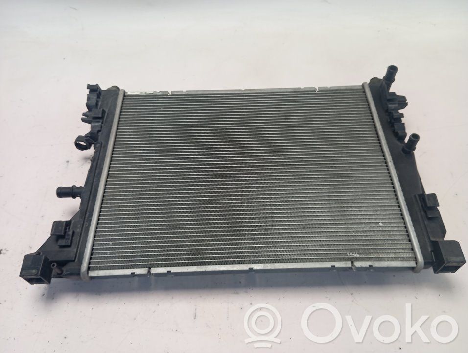 Renault Zoe Wasserkühler 