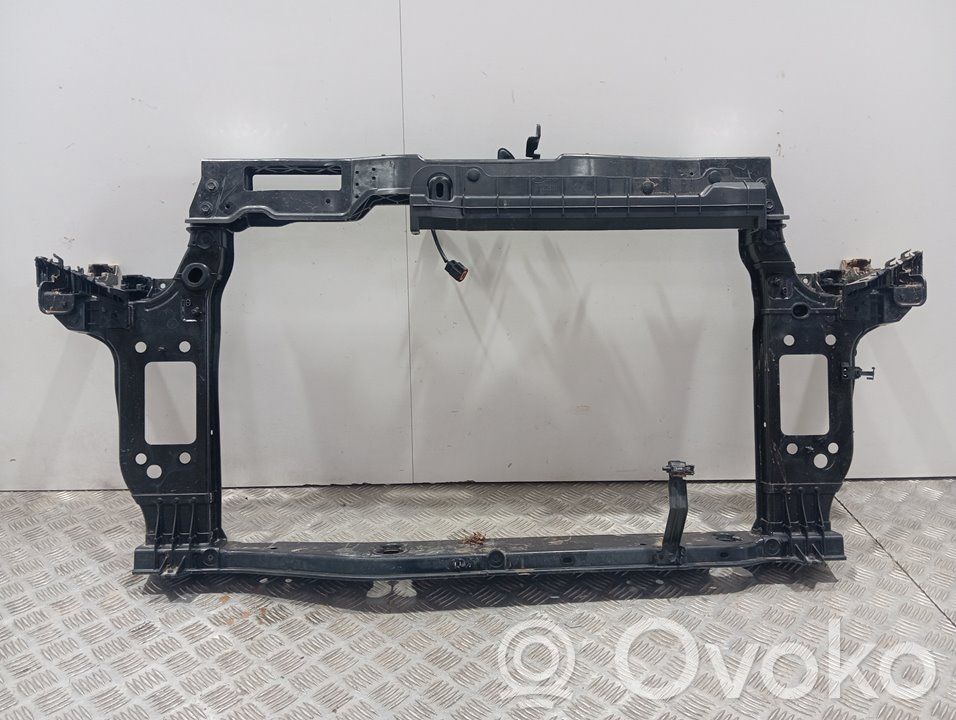 Panelis   64101G6000