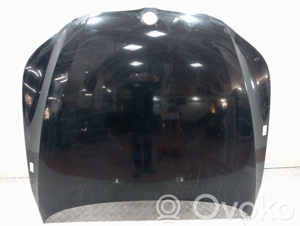 Dzinēja pārsegs (vāks)   41617111385