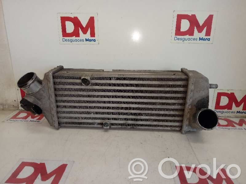 Radiador intercooler