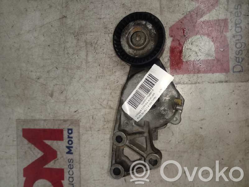Tensor de correa del alternador   06A903315D