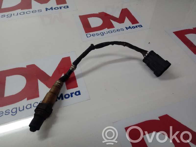 Sonde lambda   258006206